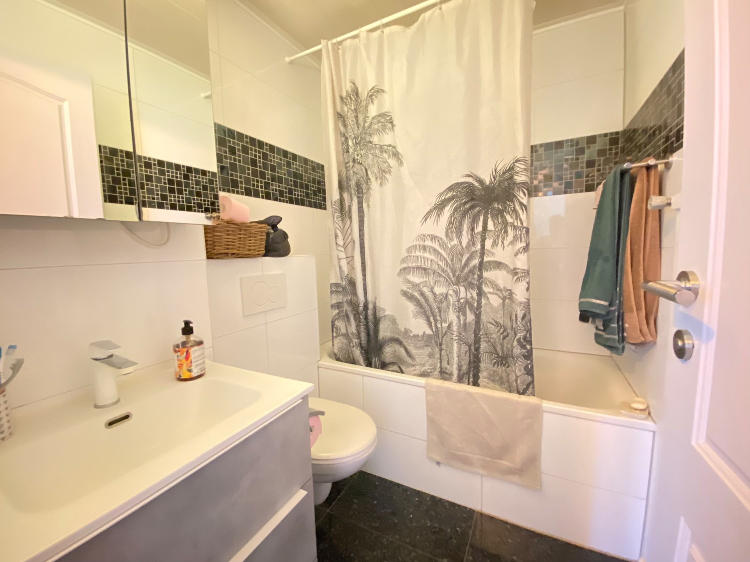 4 ½ rooms apartment