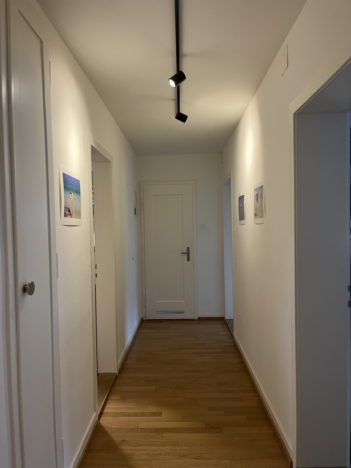 appartamento di 2 locali, foto 8 di 9