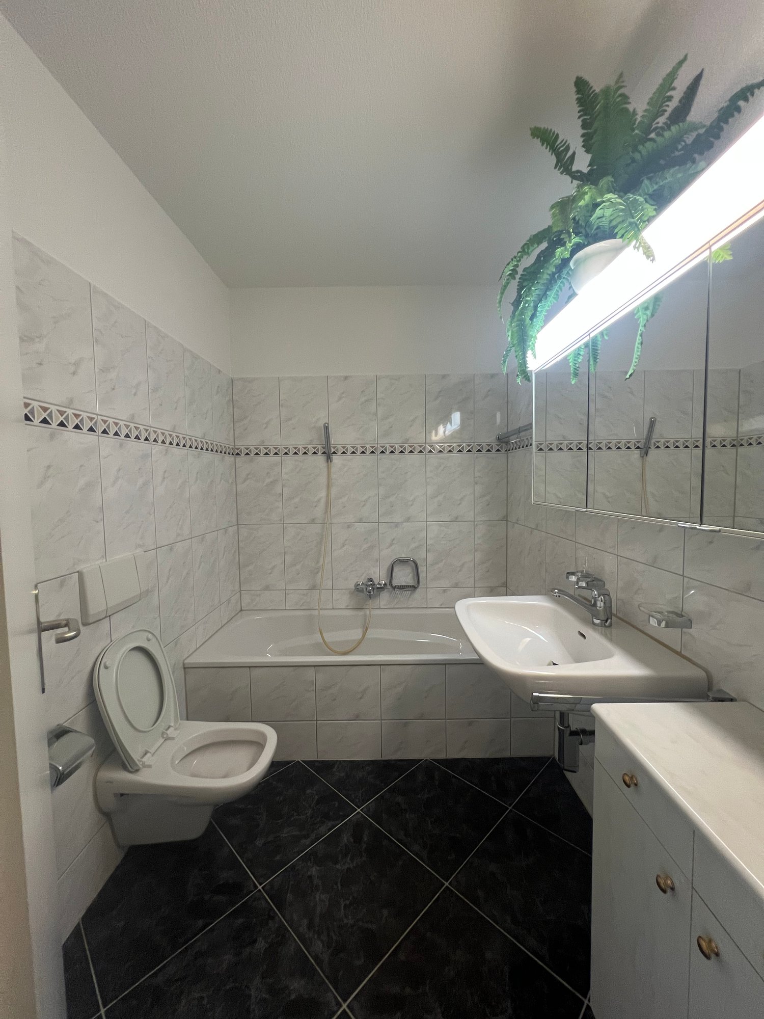 appartamento con terrazza di 3 ½ locali