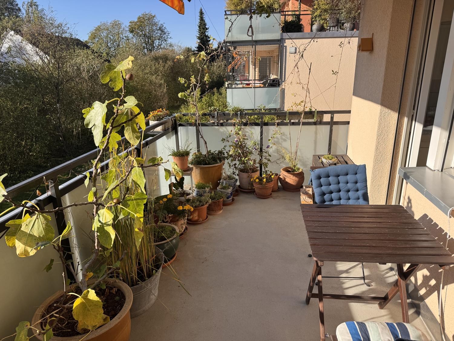 Appartamento di 2 ½ locali, foto 2 di 6