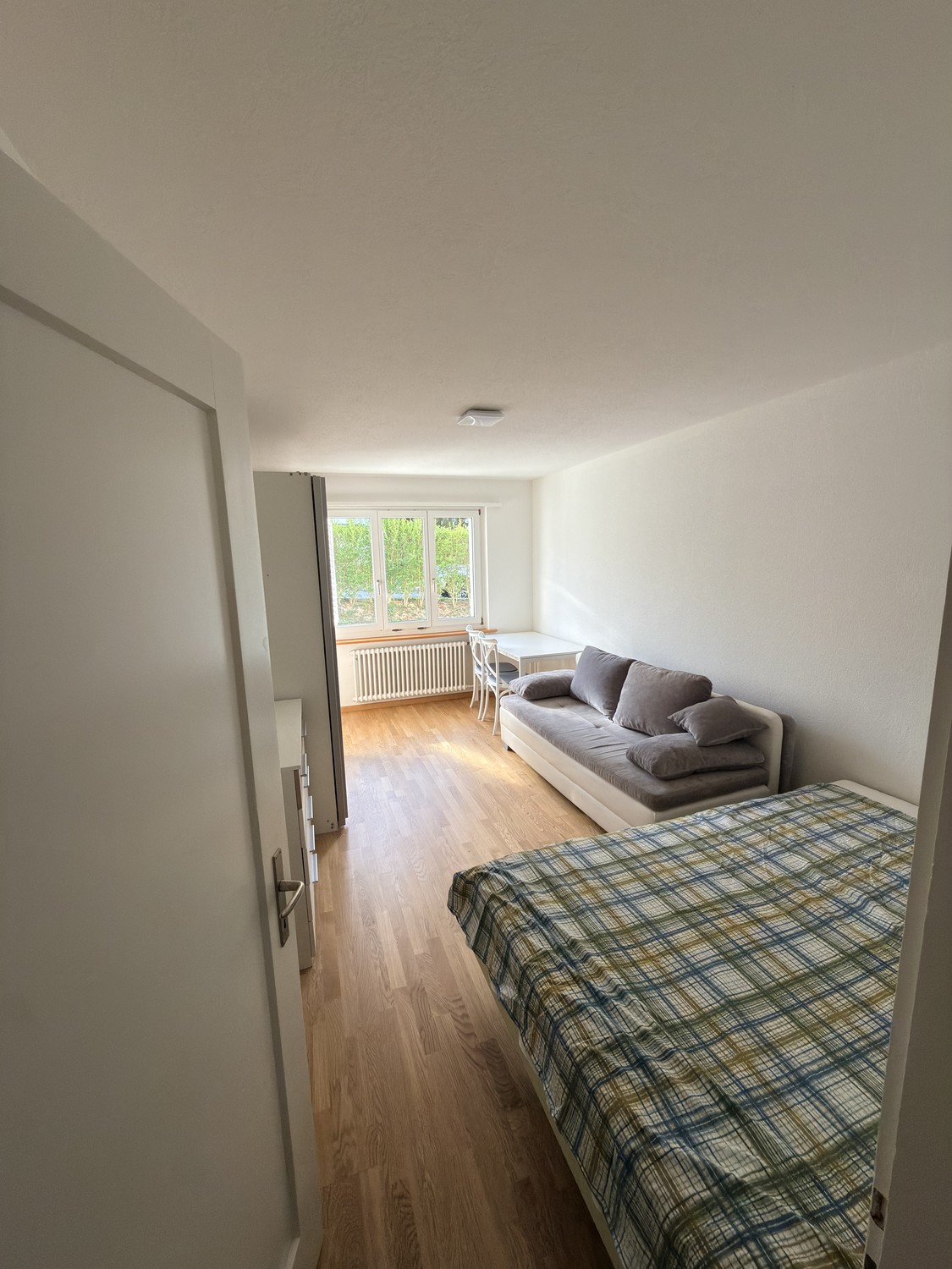 Room in a shared flat