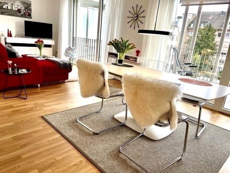 appartamento arredato di 2 ½ locali, foto 2 di 10