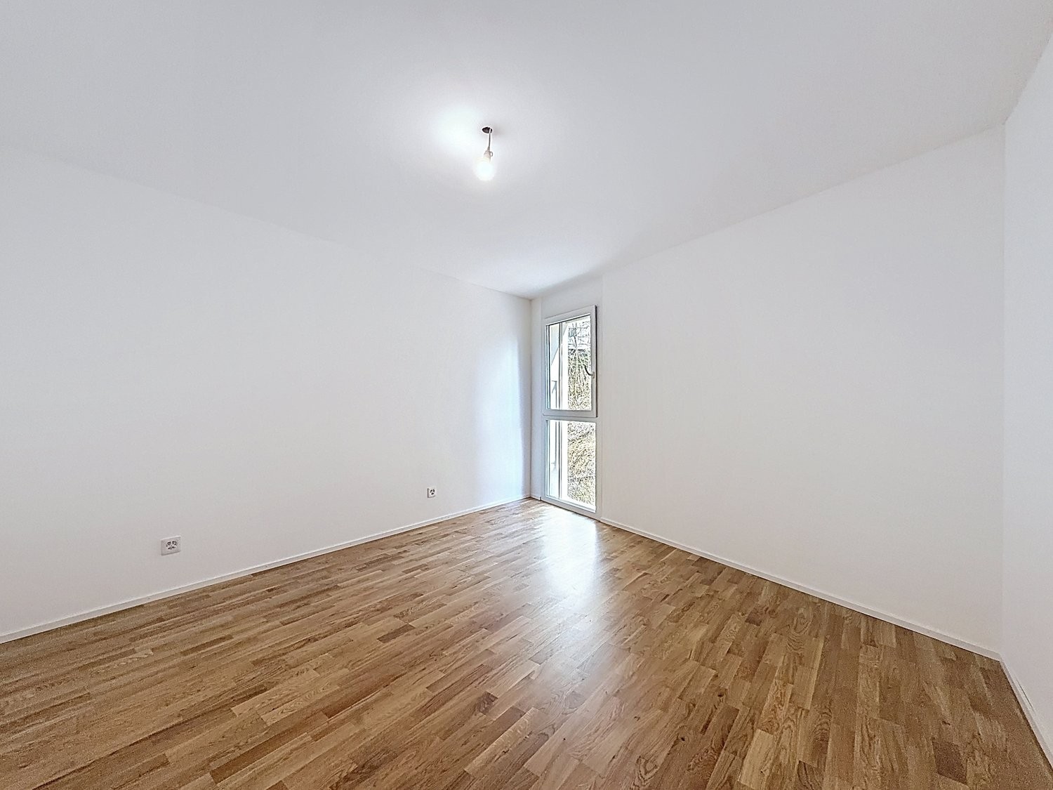 2 ½ Zimmer-Wohnung