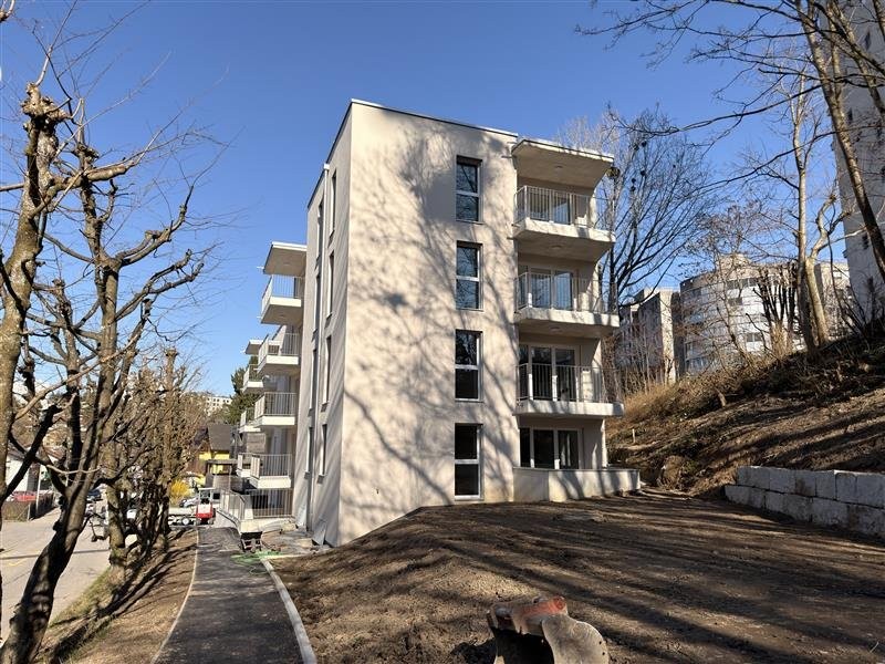 2 ½ Zimmer-Wohnung