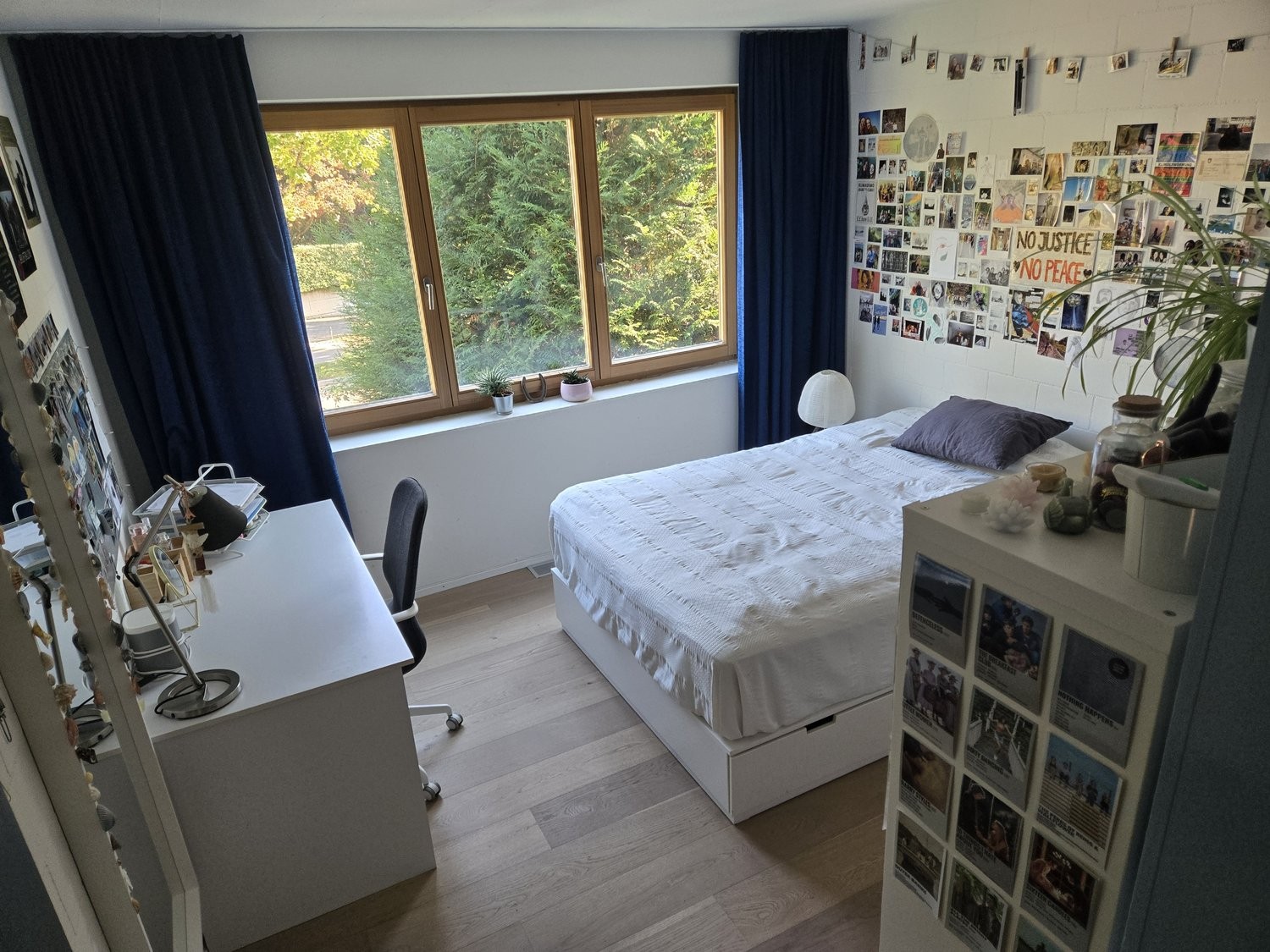 Appartamento arredato di 2 ½ locali, foto 8 di 9