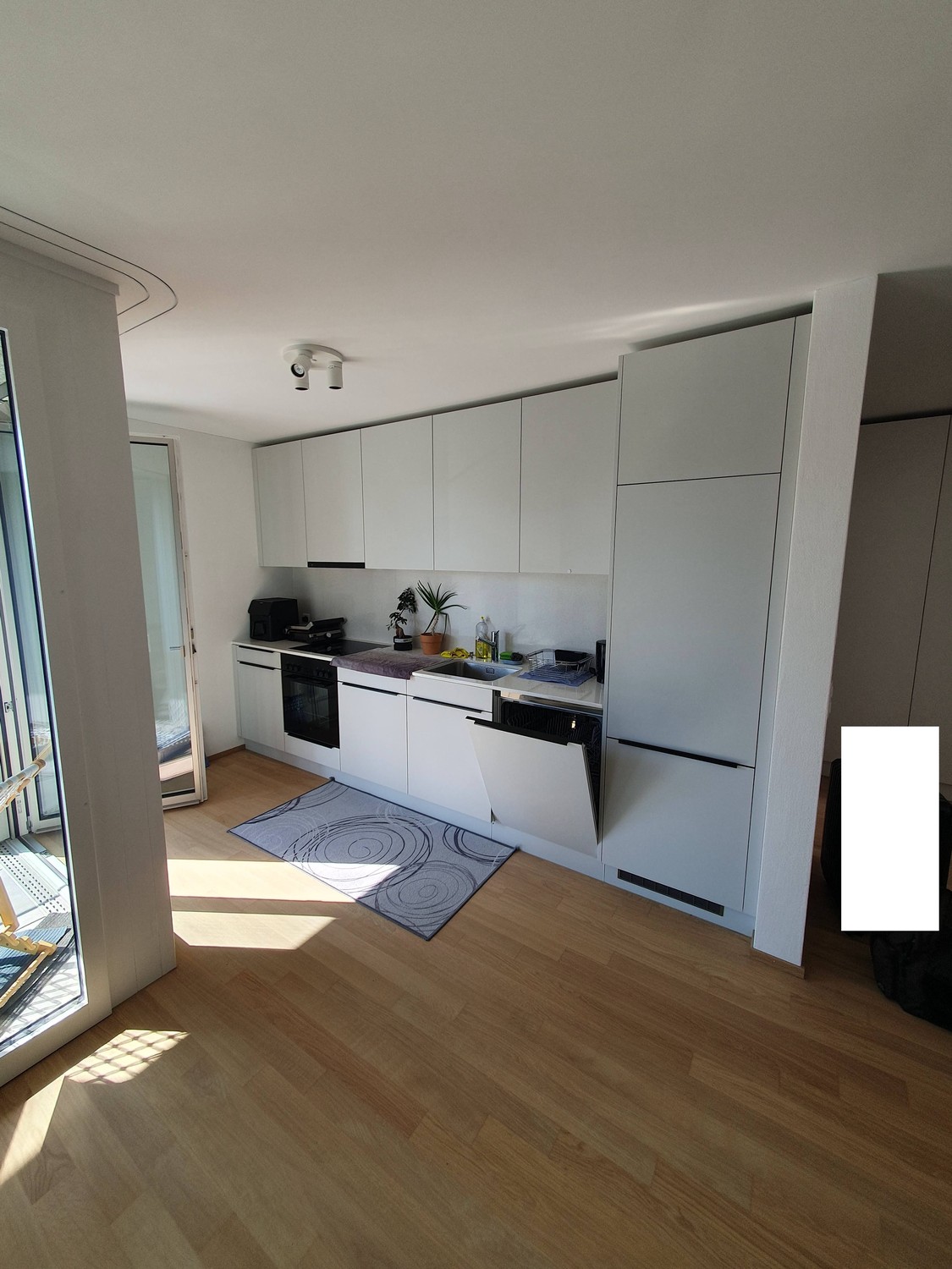 2 ½ rooms apartment