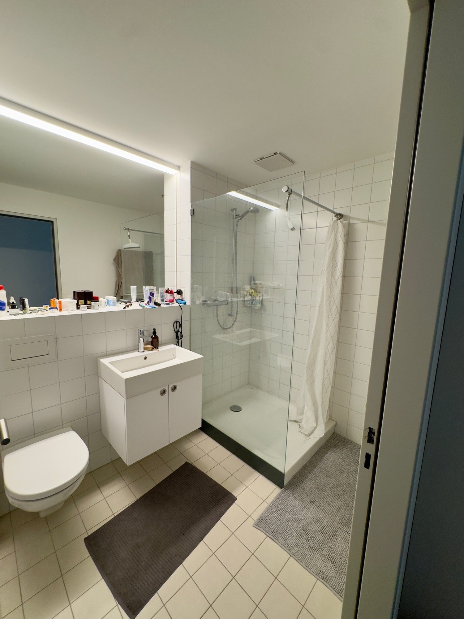 Appartamento di 2 ½ locali, foto 8 di 10