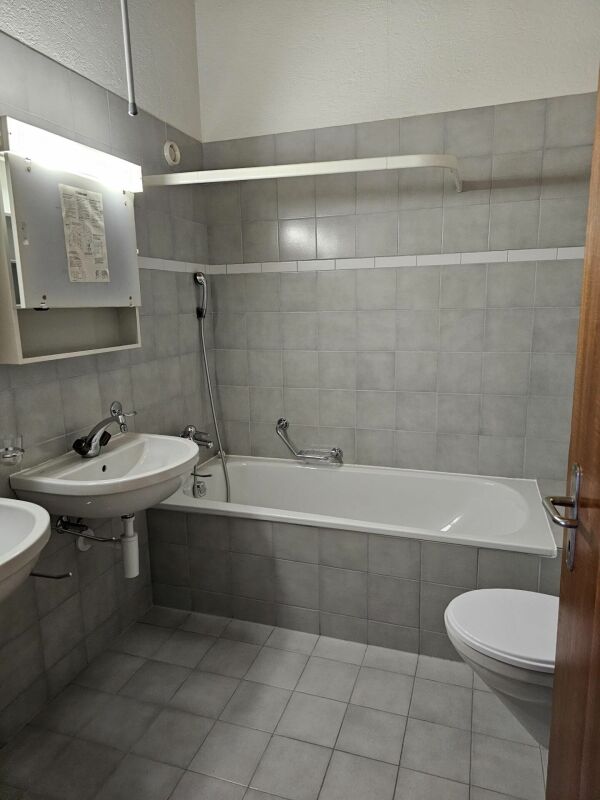 3 pièces appartement sous les toits