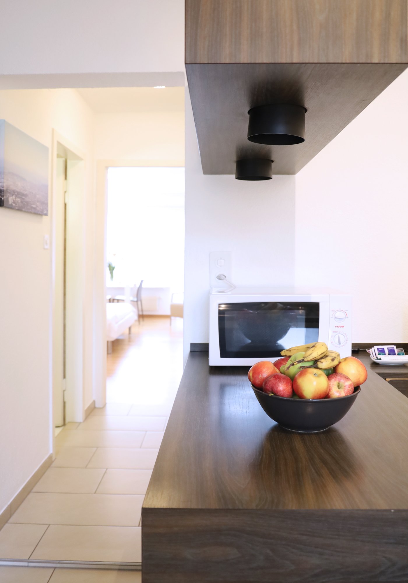 1 room furnished flat