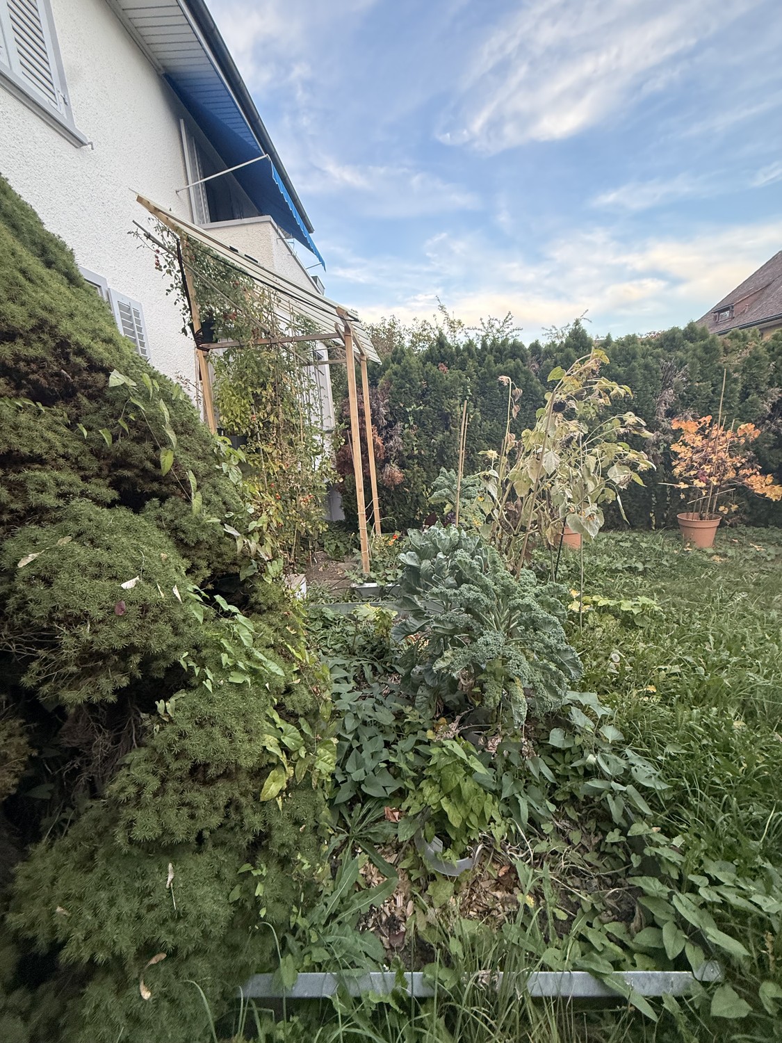 casa singola di 2 locali, foto 4 di 6