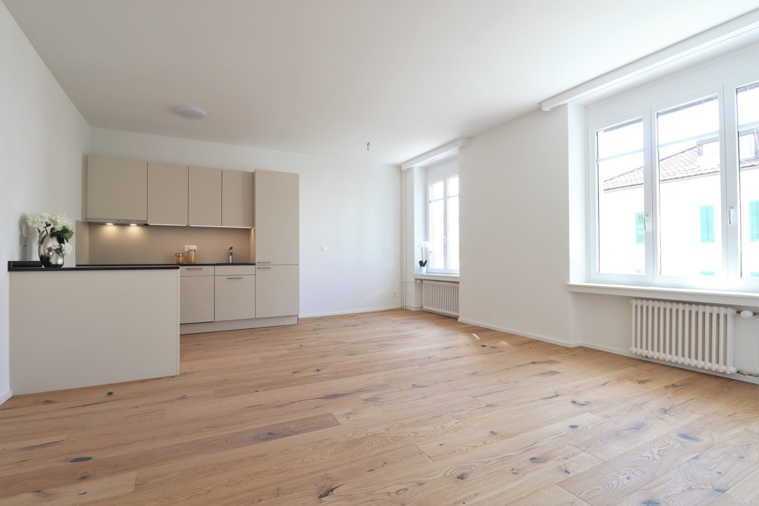 Appartamento di 2 ½ locali, foto 1 di 9
