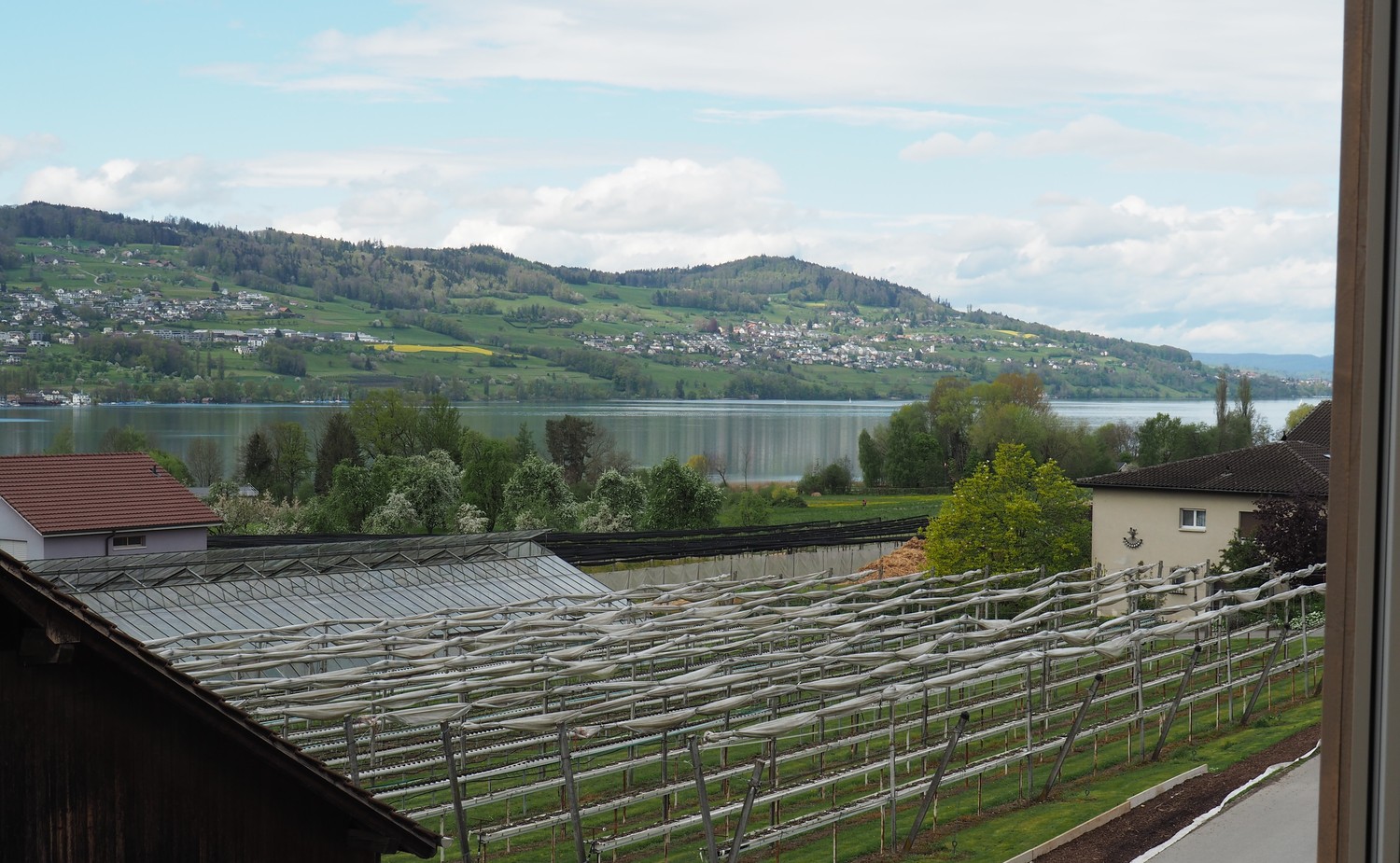 Appartamento di 2 ½ locali, foto 4 di 10