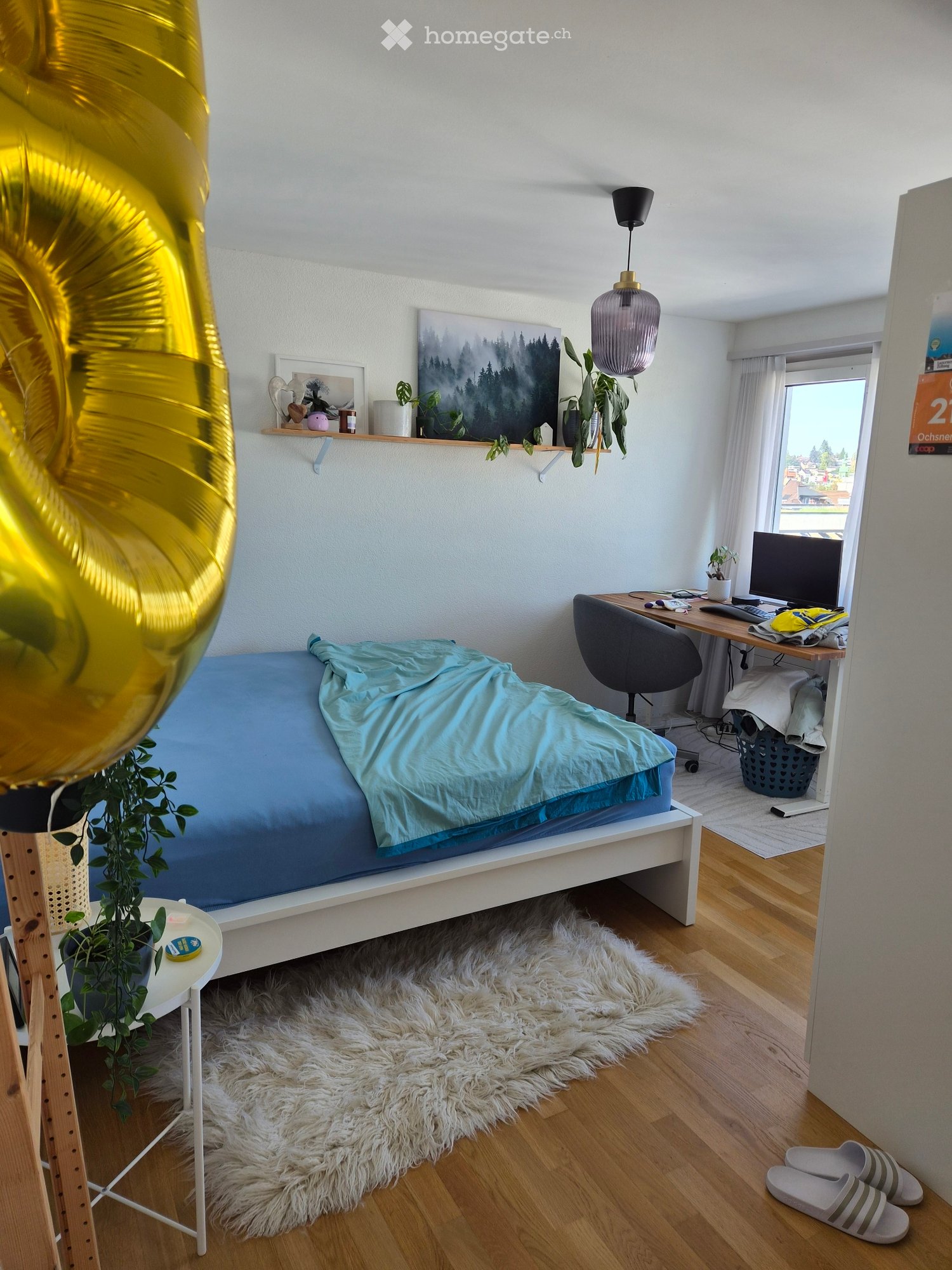 Appartamento di 2 ½ locali, foto 3 di 5