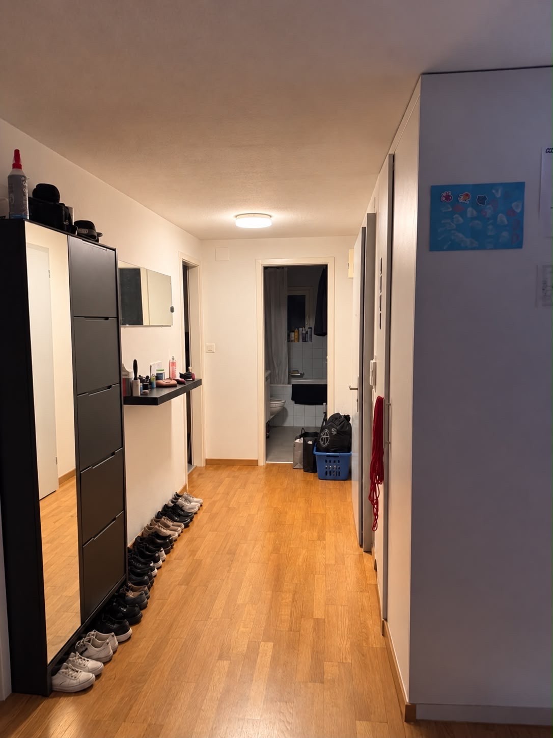 Appartamento di 3 ½ locali, foto 1 di 7