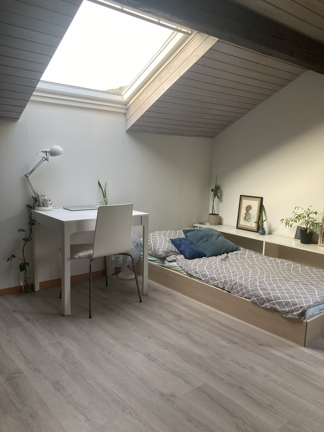 1 room apartment
