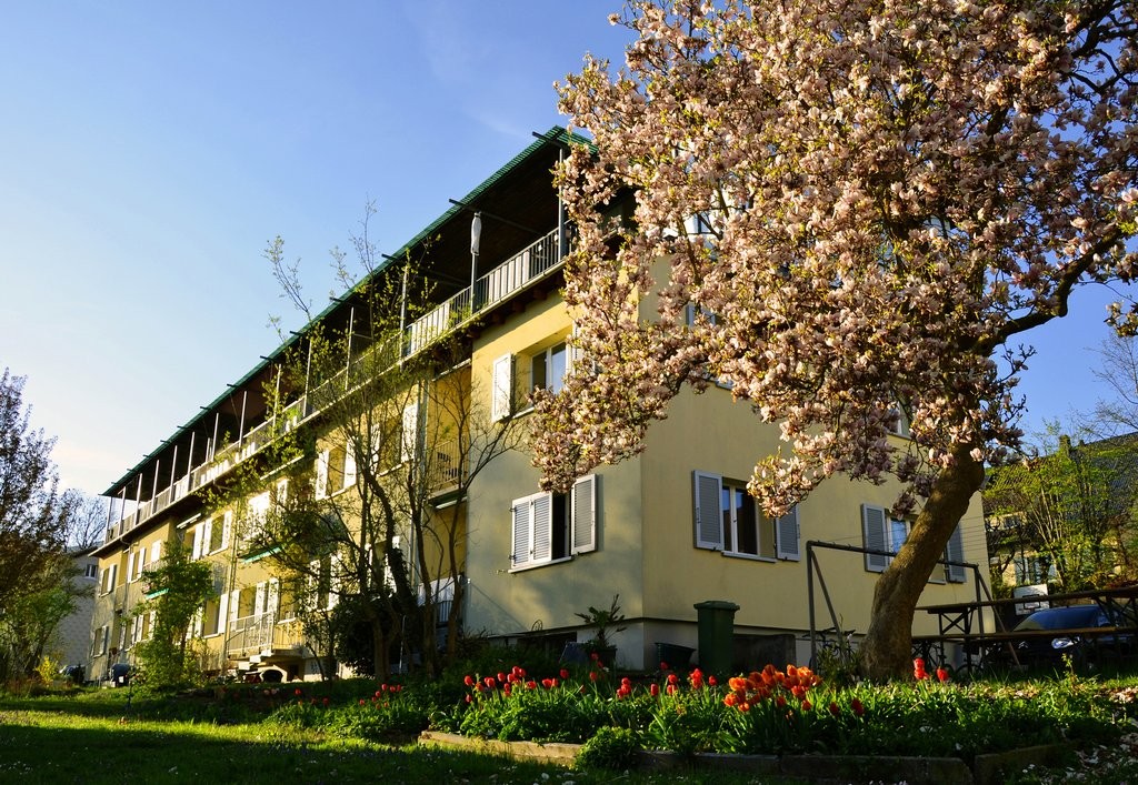 3 ½ pièces appartement