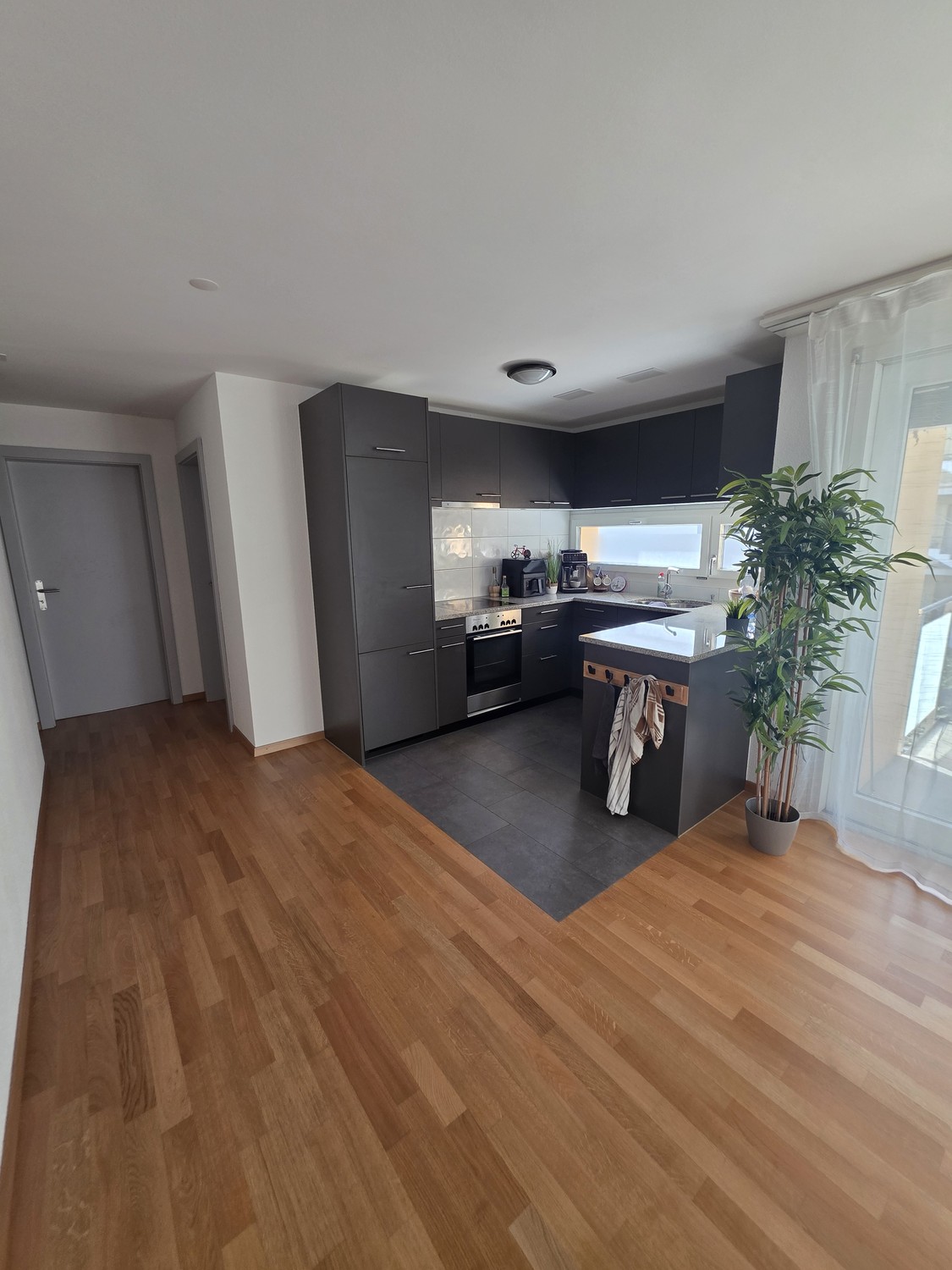 4 ½ rooms apartment