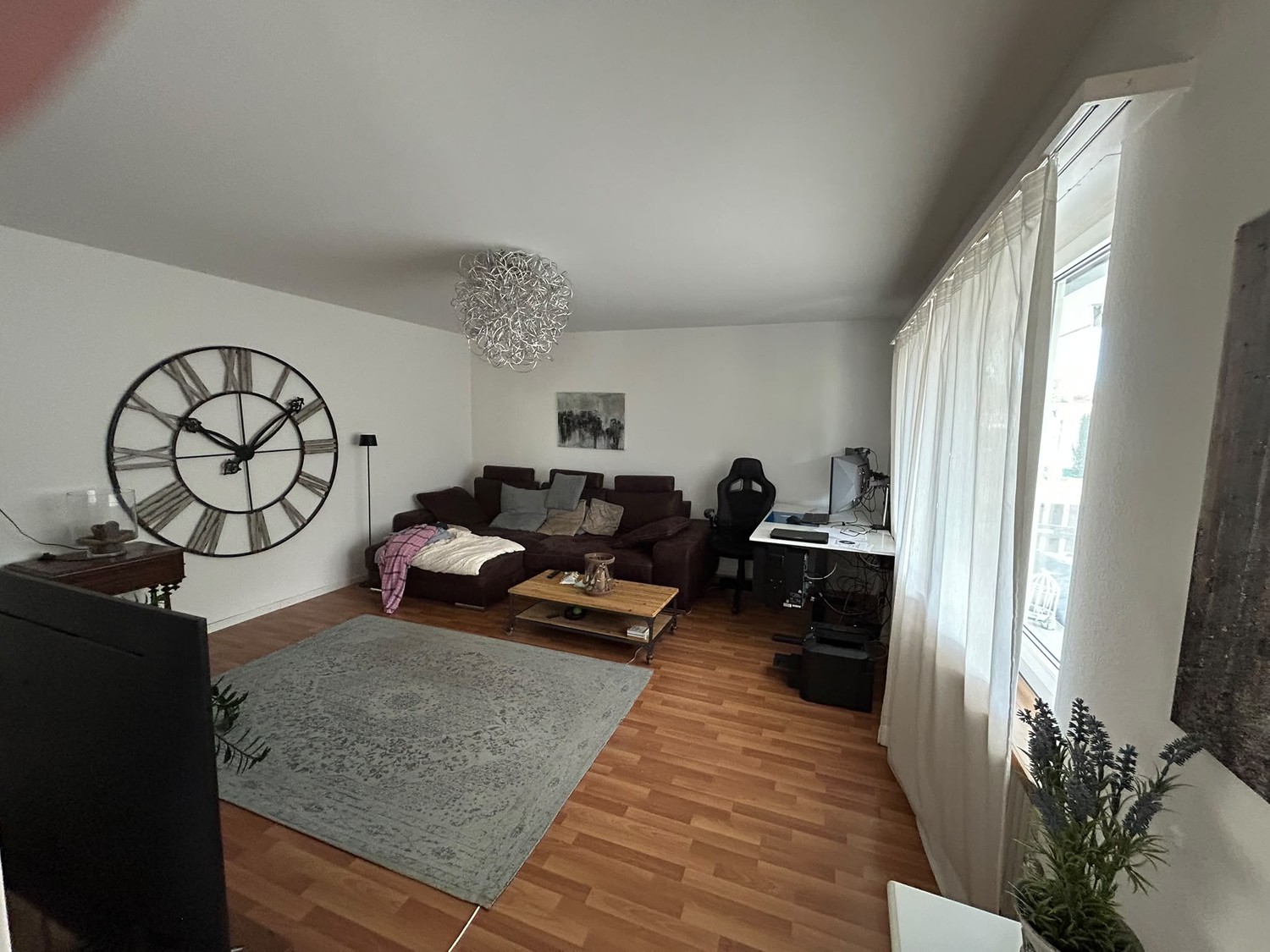 Appartamento di 3 ½ locali, foto 1 di 9