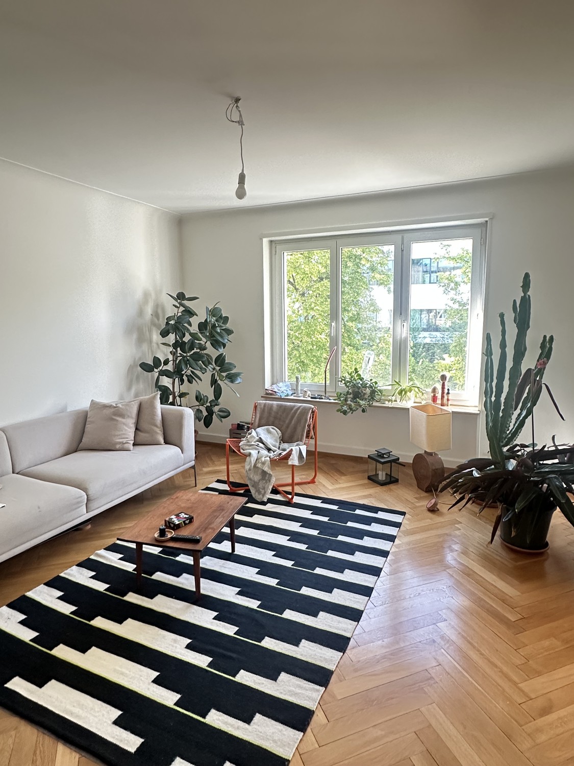 Appartamento di 3 ½ locali, foto 1 di 7
