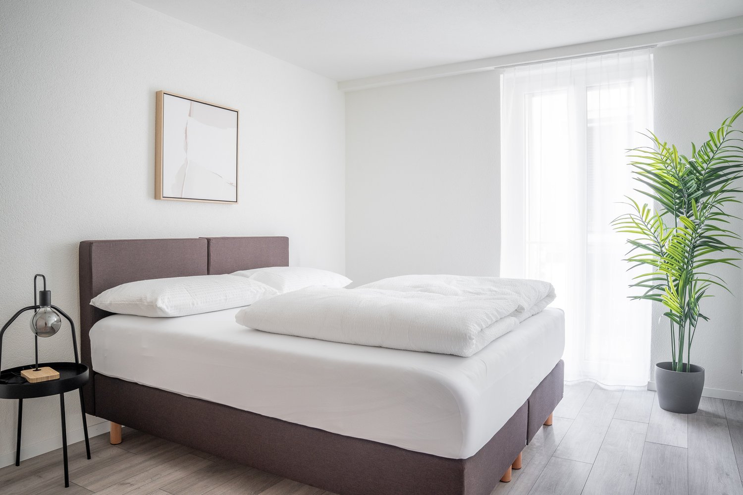 Appartamento arredato di 3 ½ locali, foto 3 di 10
