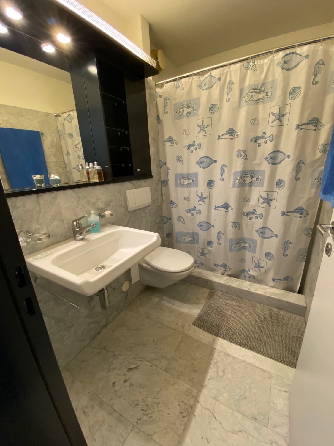 4 ½ rooms apartment