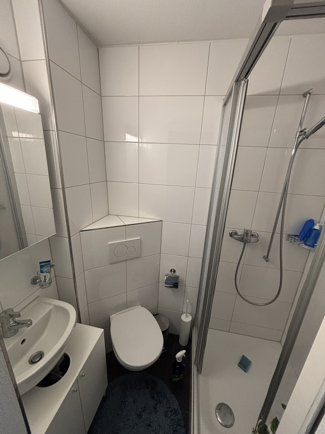 2 ½ Zimmer-Wohnung