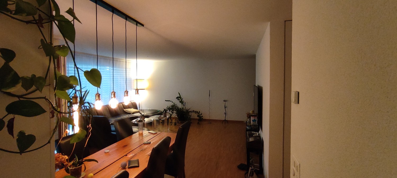Appartamento di 3 ½ locali, foto 2 di 3