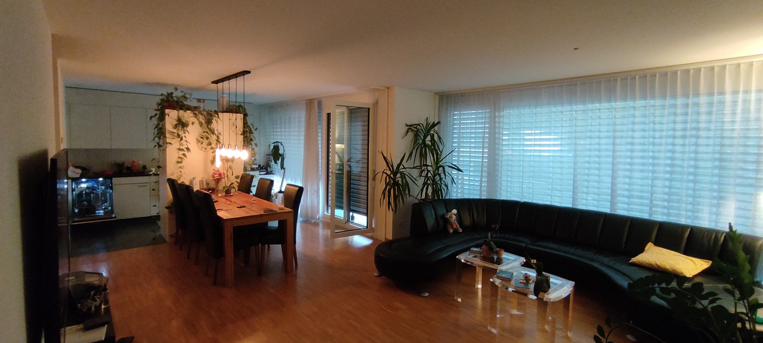 Appartamento di 3 ½ locali, foto 1 di 3