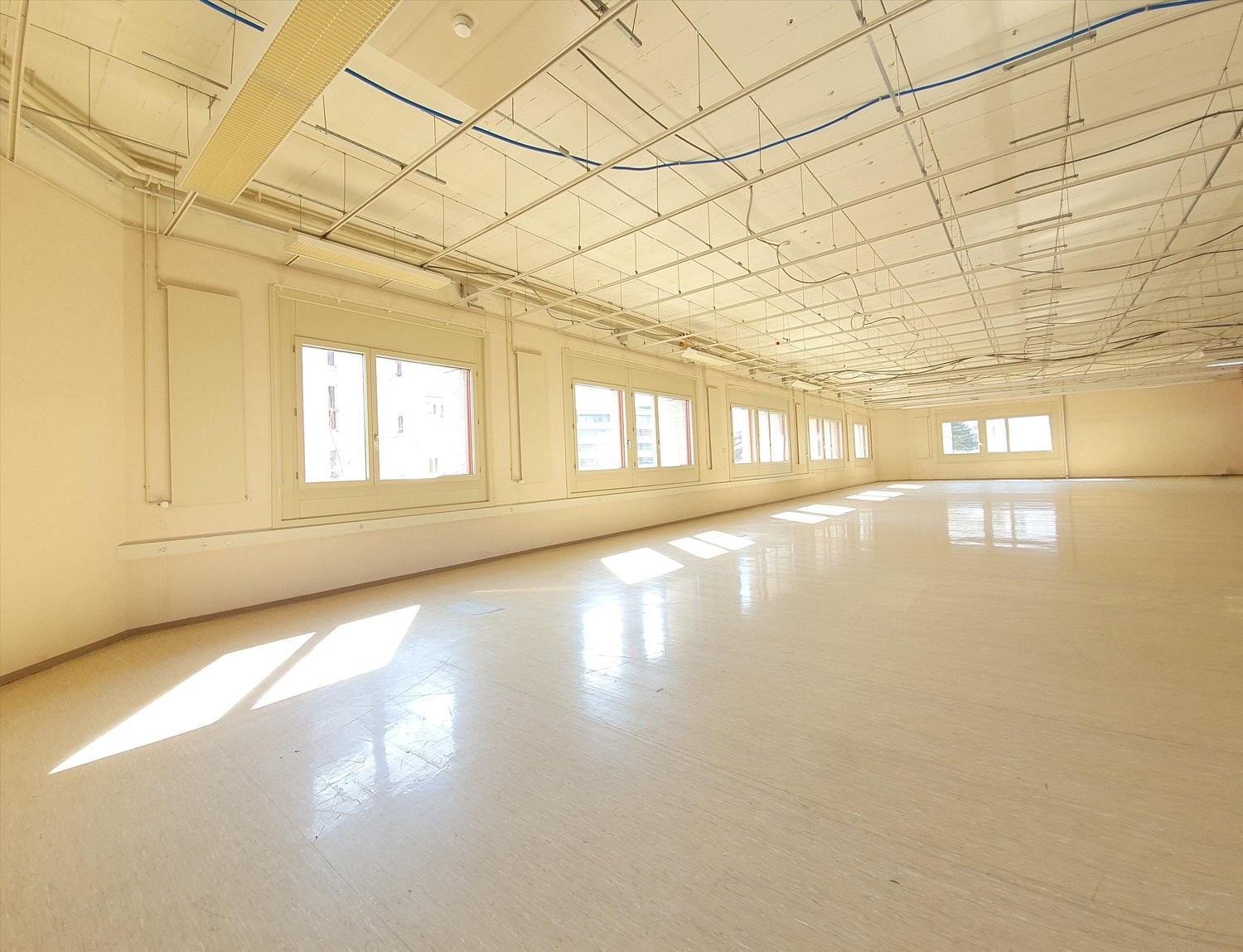 443m² ufficio