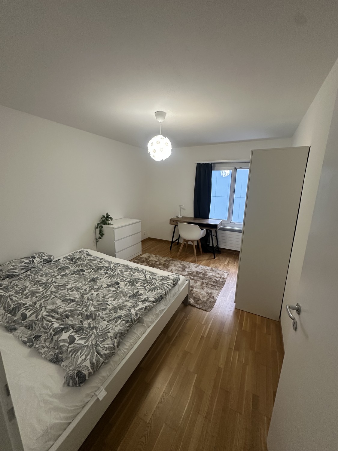 Room in a shared flat