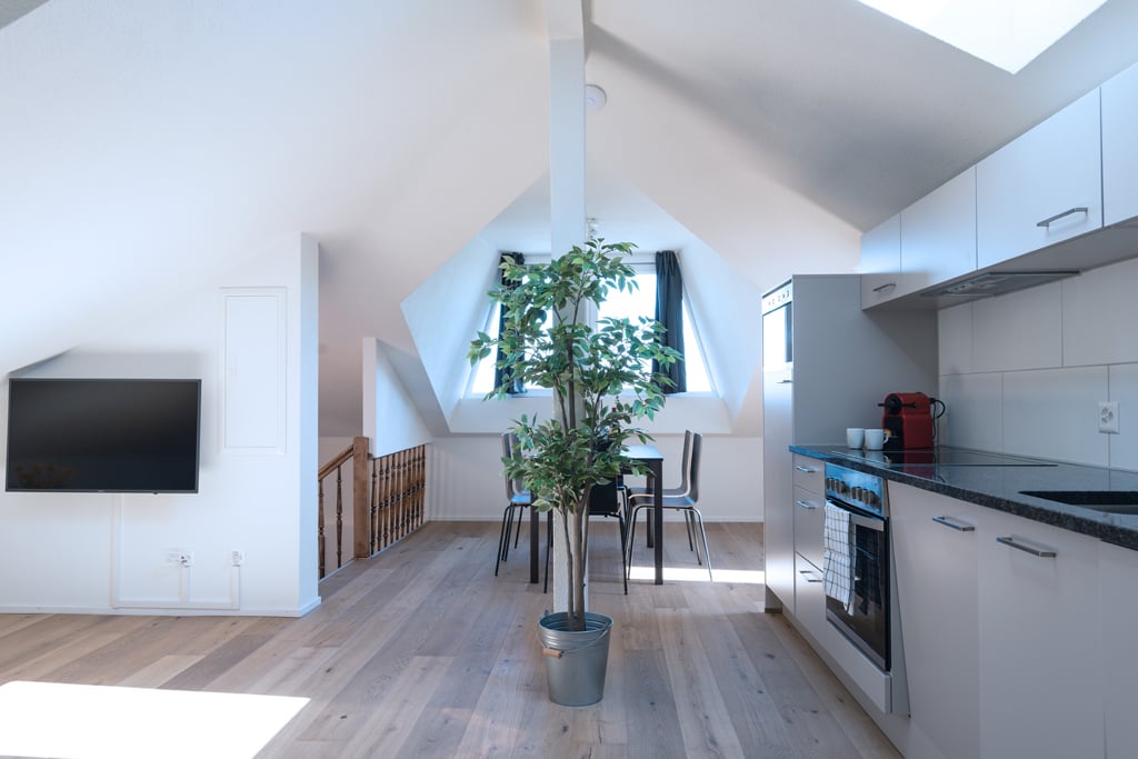 appartamento arredato di 3 ½ locali, foto 3 di 10
