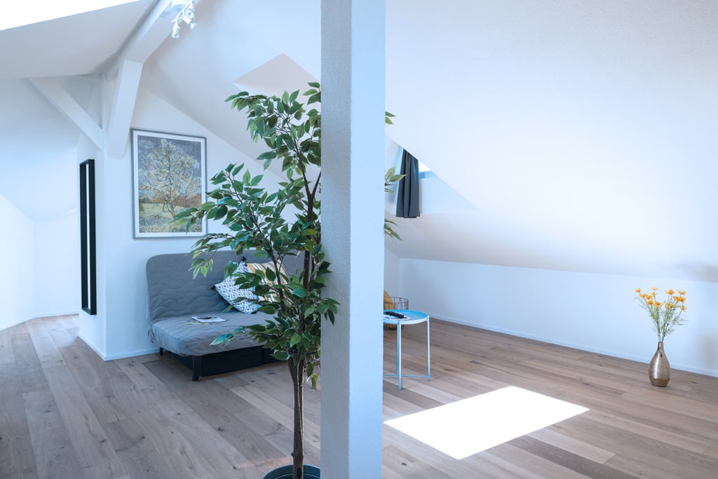 appartamento arredato di 3 ½ locali, foto 5 di 10