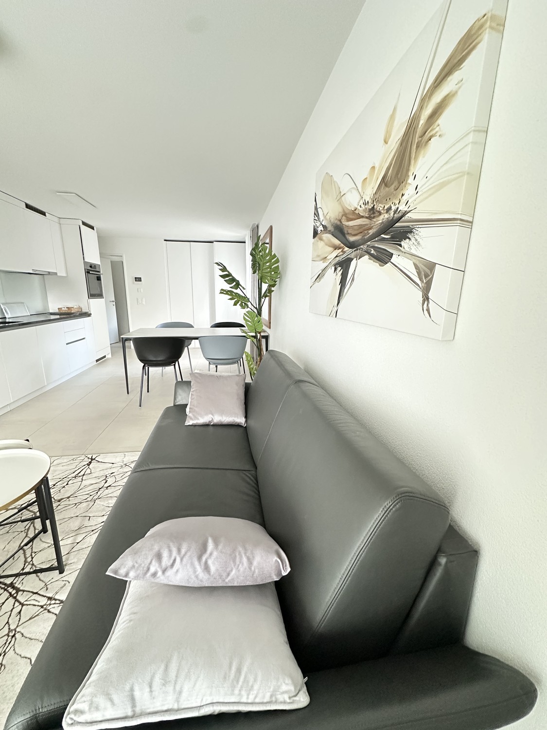 Appartamento arredato di 2 ½ locali, foto 1 di 10