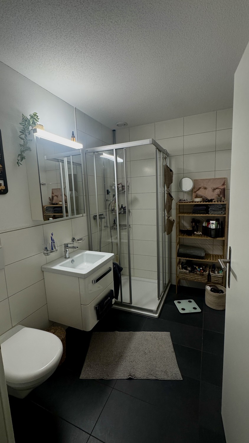 Appartamento di 3 ½ locali, foto 6 di 6