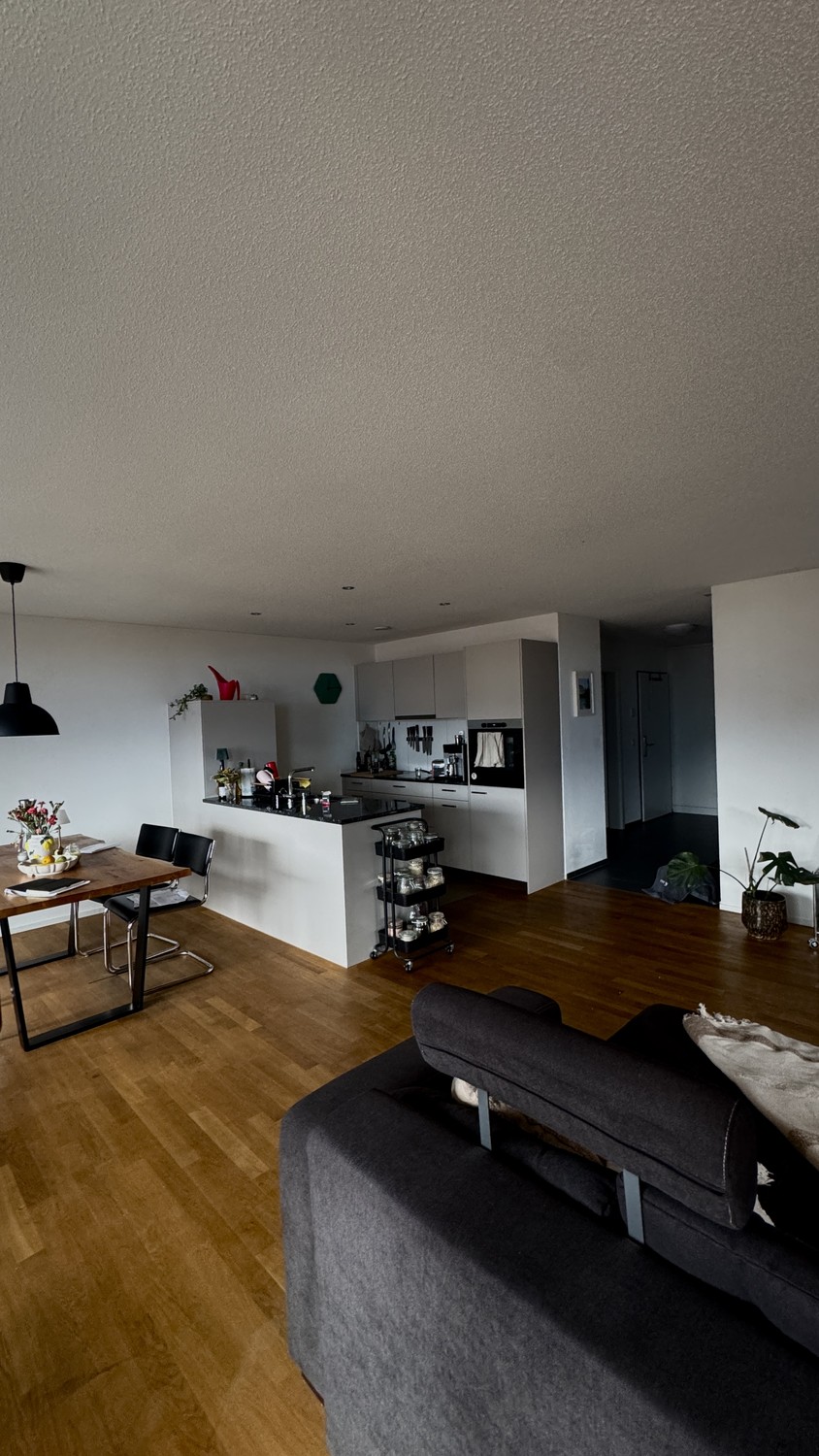 Appartamento di 3 ½ locali, foto 2 di 6