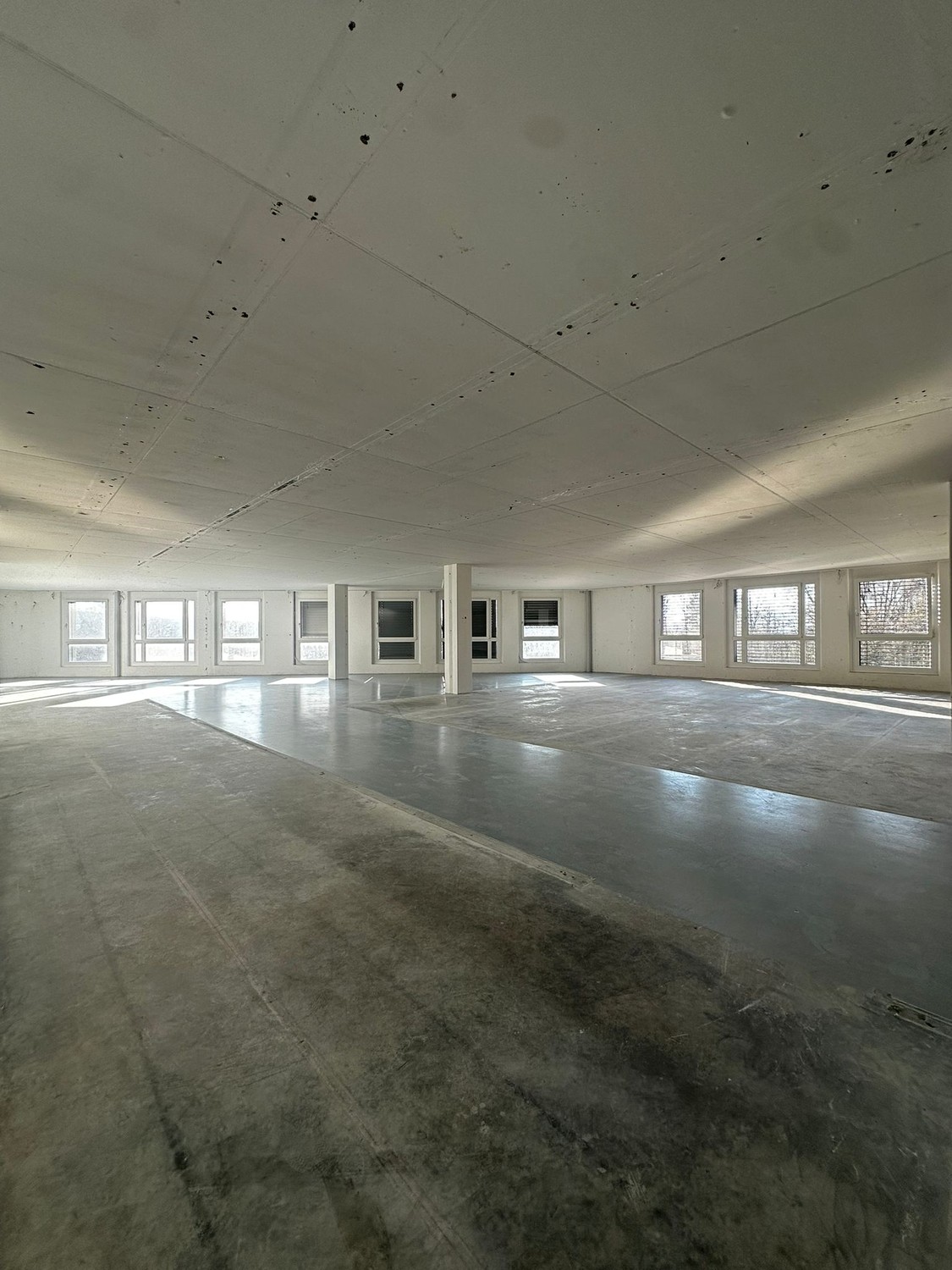 303m² commercial