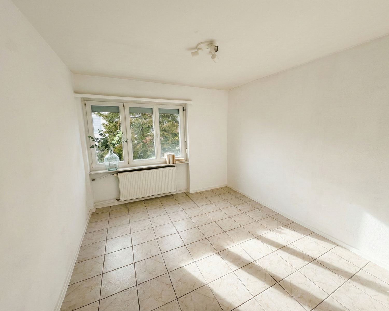 4 ½ rooms apartment