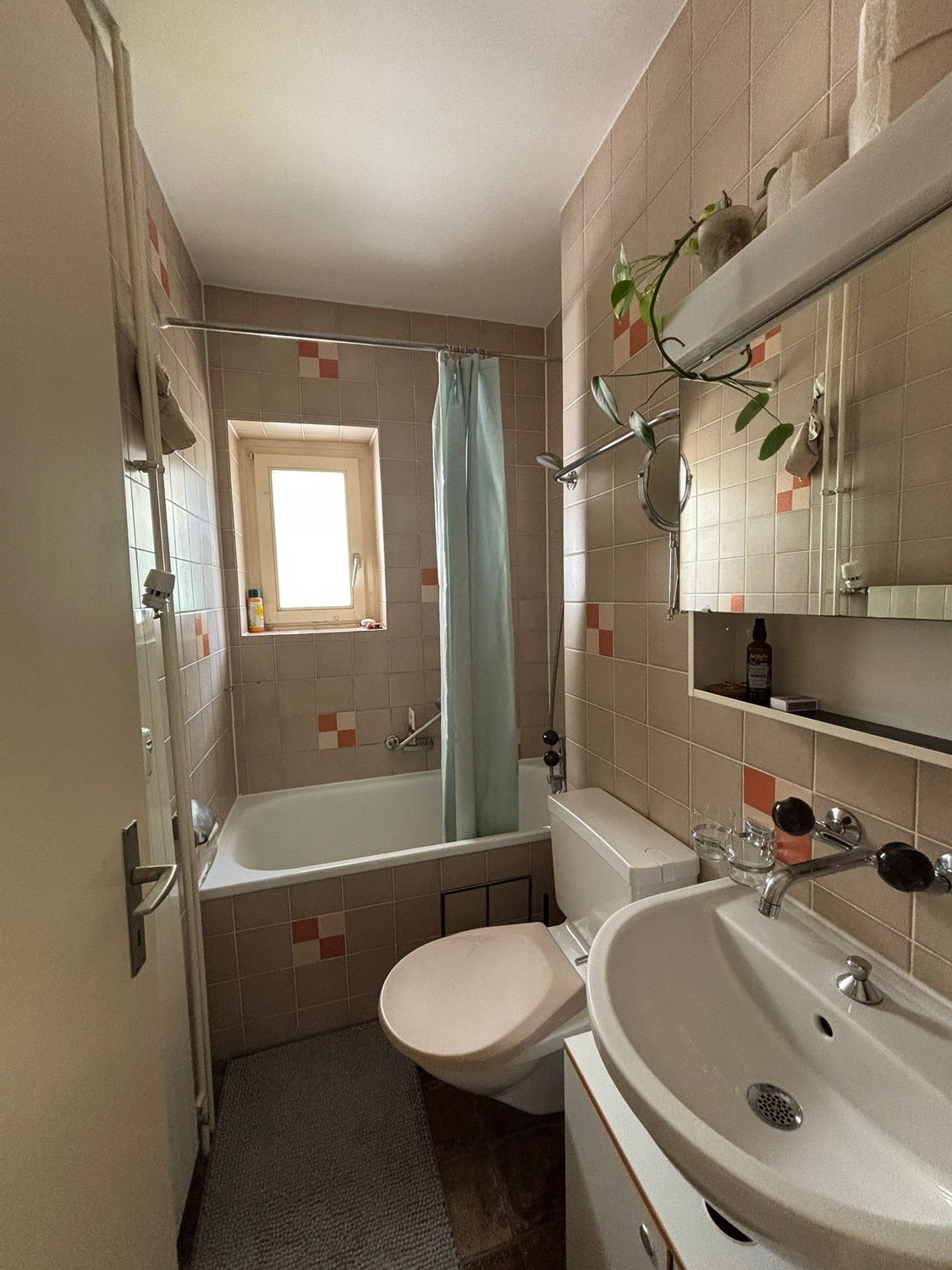 Appartamento di 2 ½ locali, foto 5 di 5