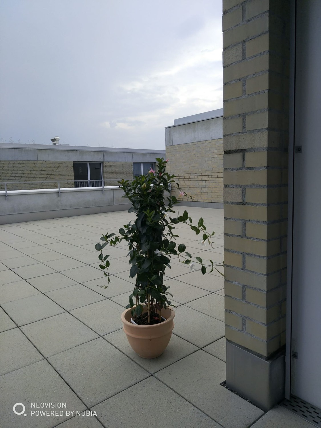 Appartamento di 3 ½ locali, foto 4 di 8
