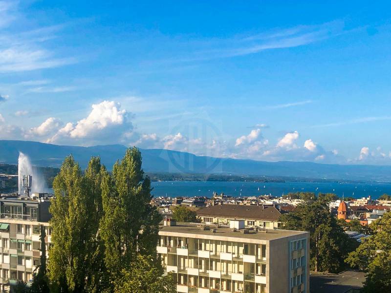 Appartamento di 5 ½ locali, foto 10 di 10