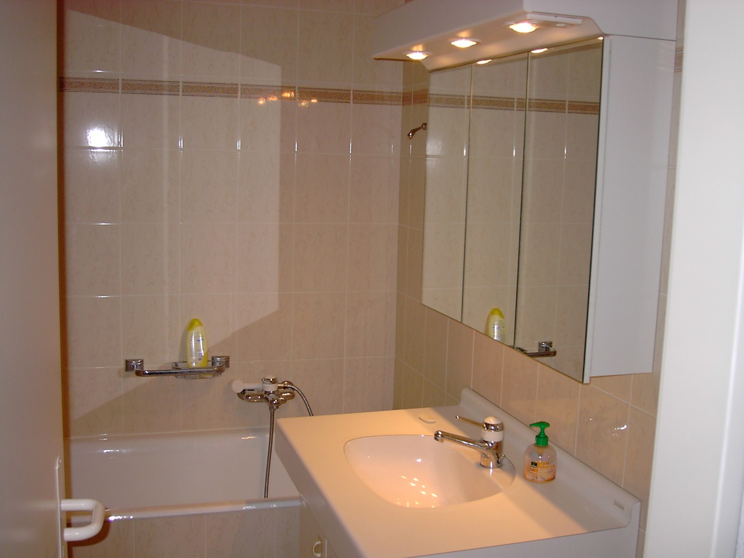 Appartamento di 1 ½ locali, foto 4 di 7
