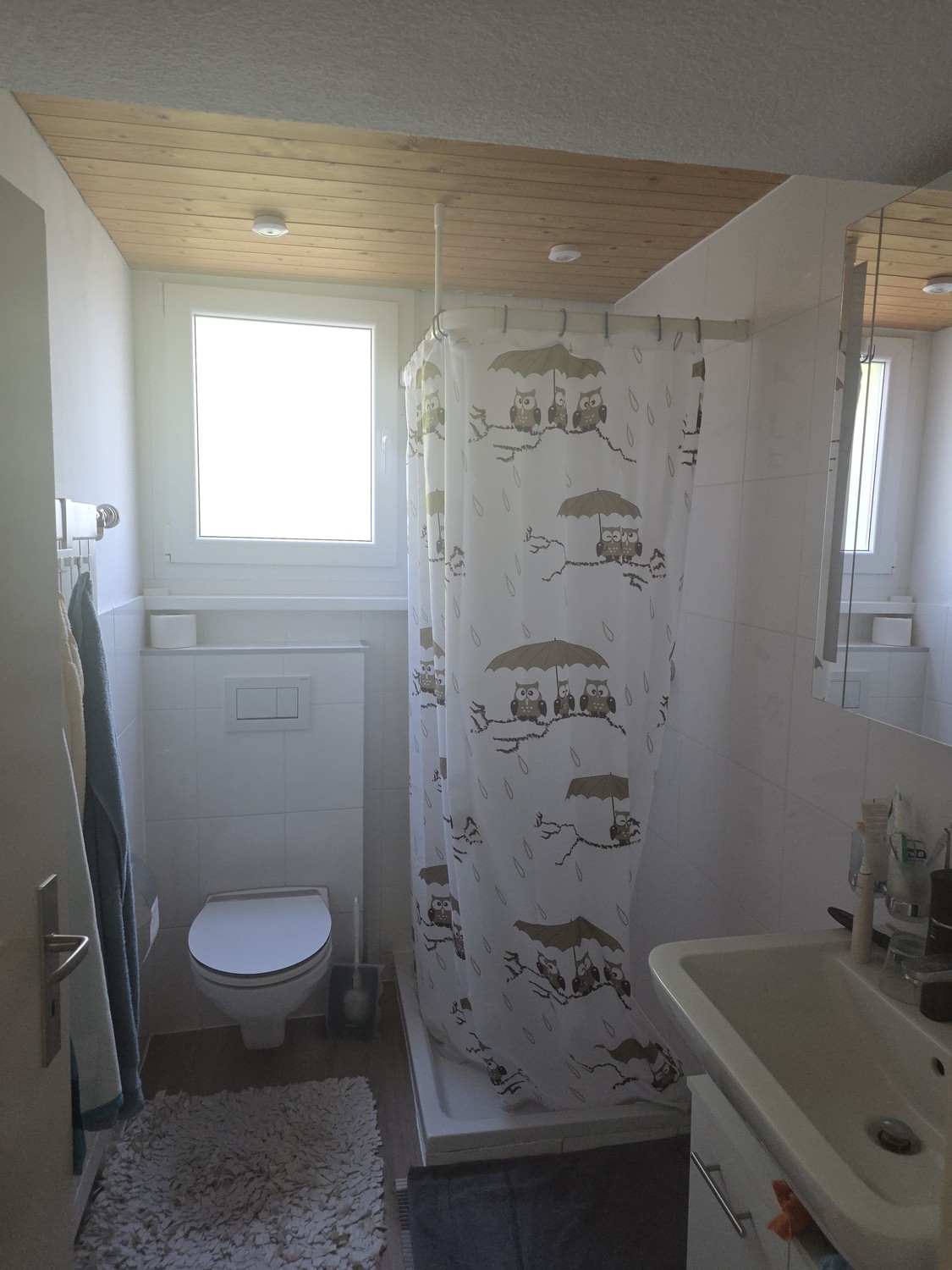 Appartamento di 4 ½ locali, foto 4 di 6