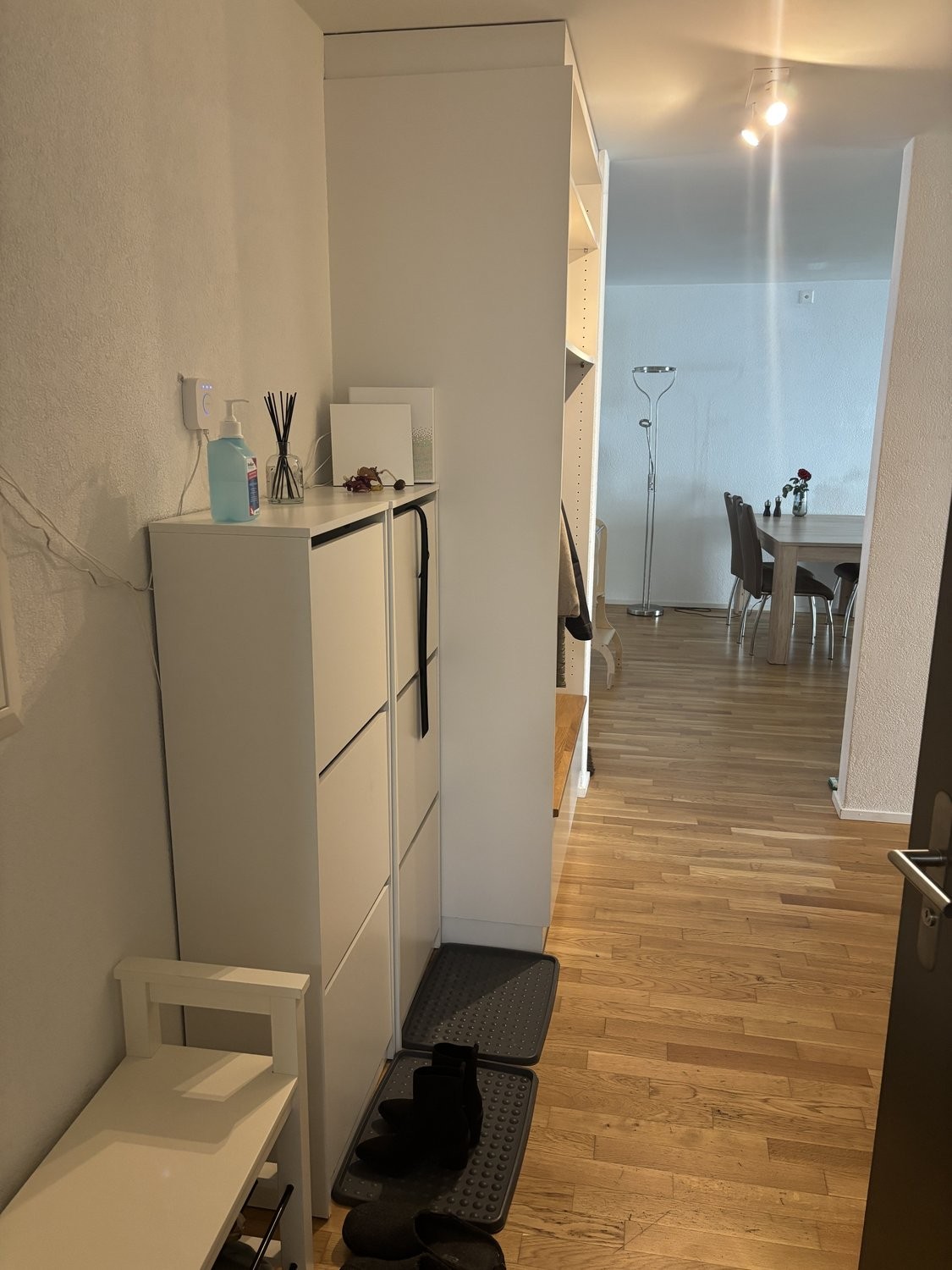 Appartamento arredato di 4 ½ locali, foto 10 di 10