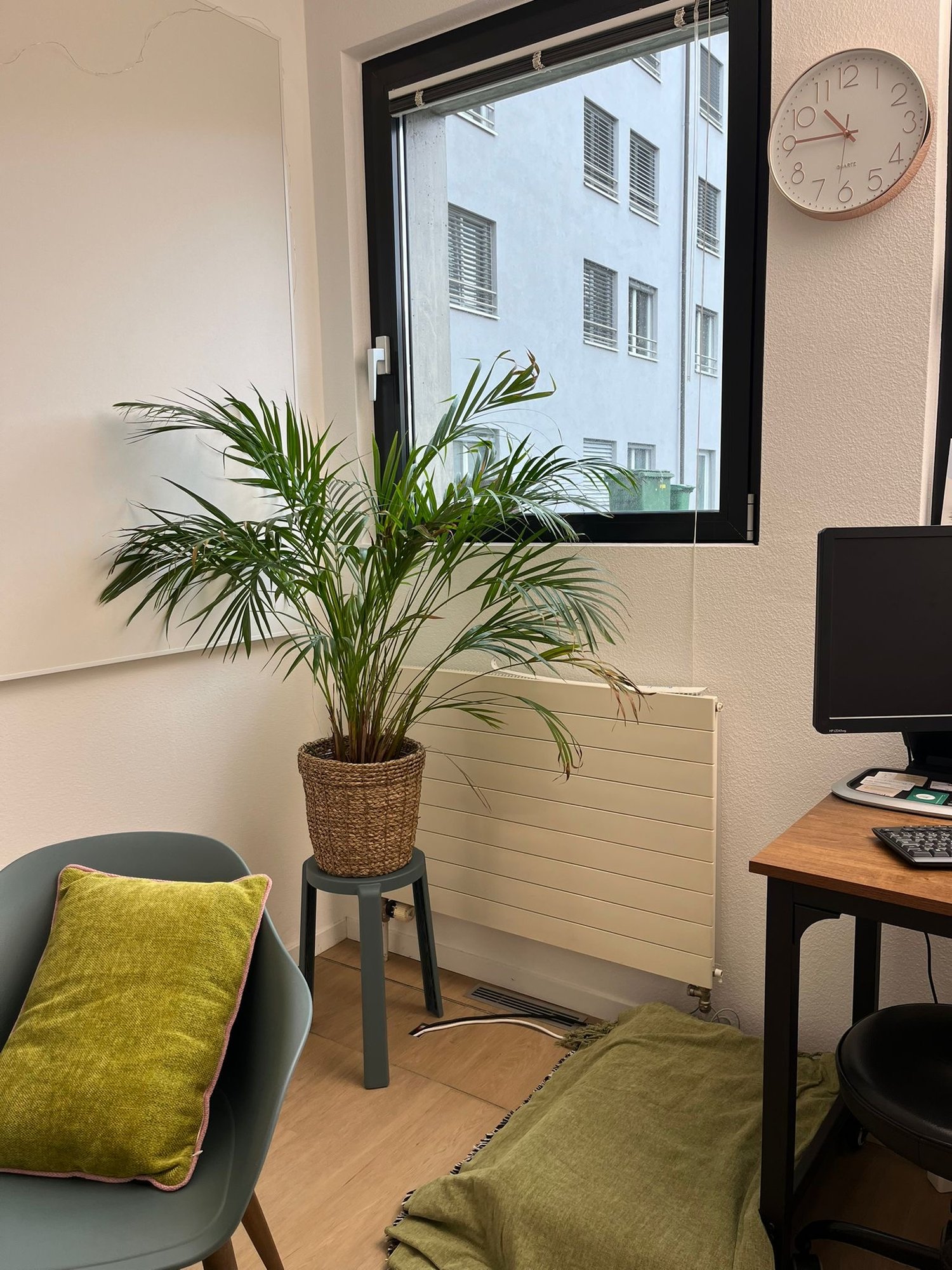 60m² studio