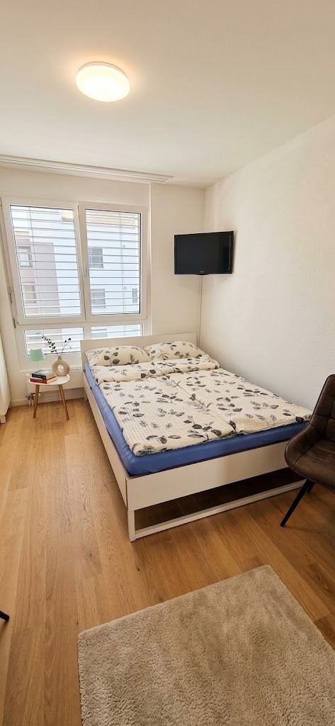 appartamento arredato di 1 locale, foto 3 di 3