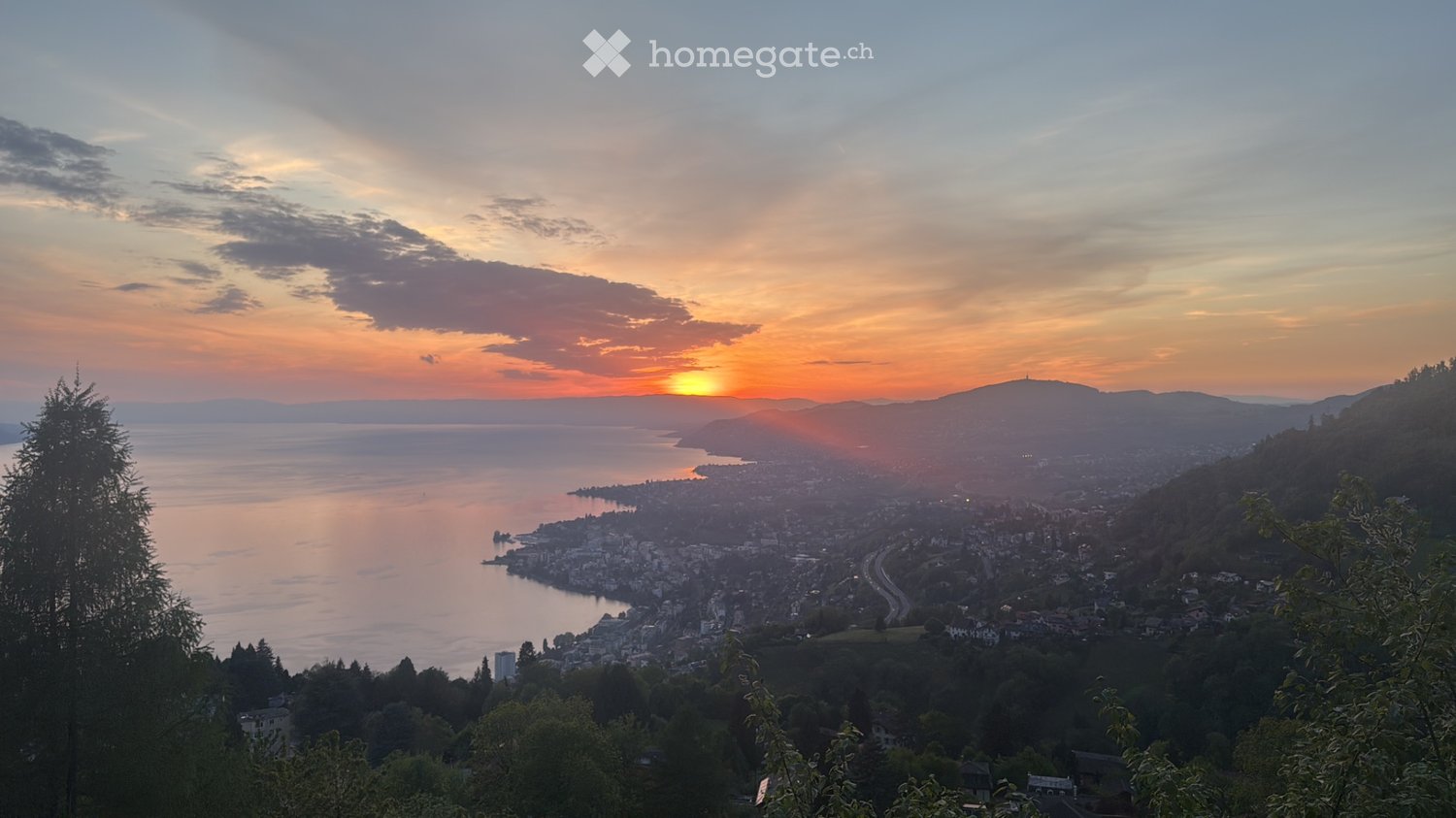 1 stanza casa singola