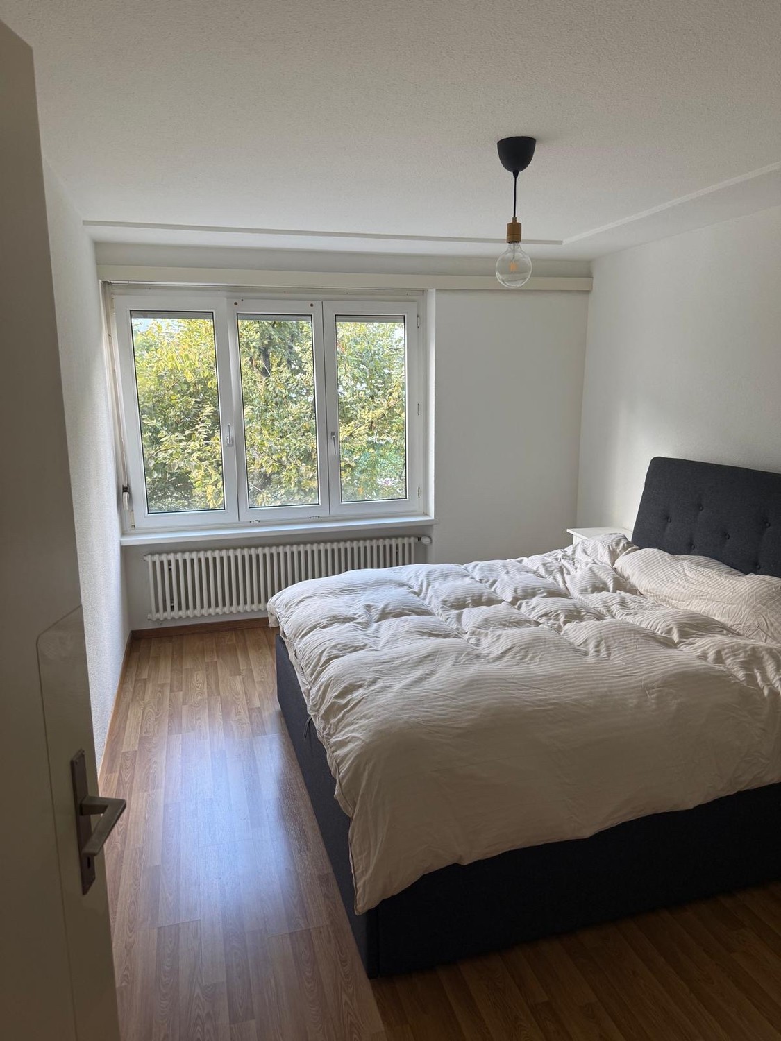 Appartamento di 3 ½ locali, foto 2 di 6