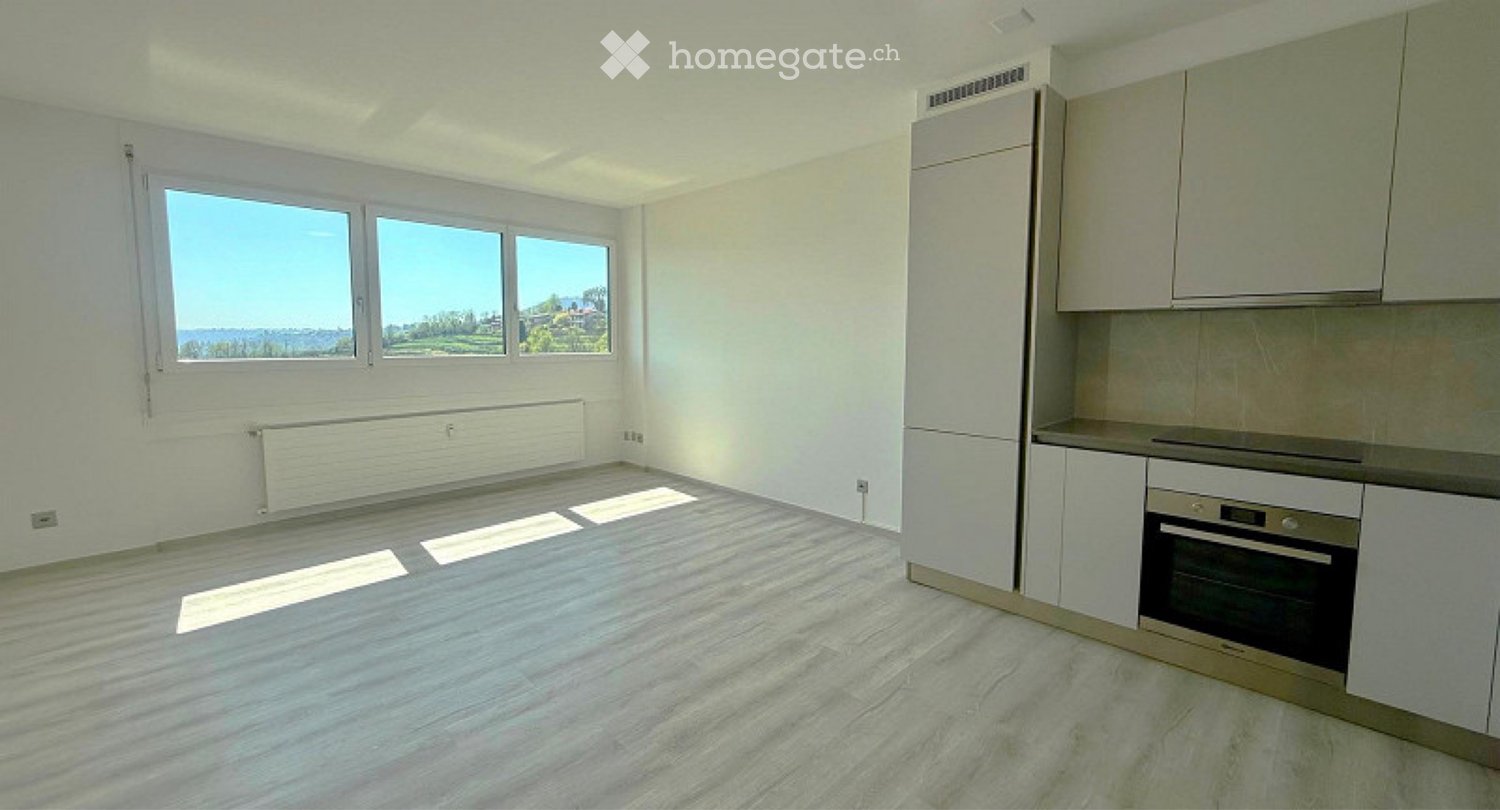 2 ½ rooms apartment