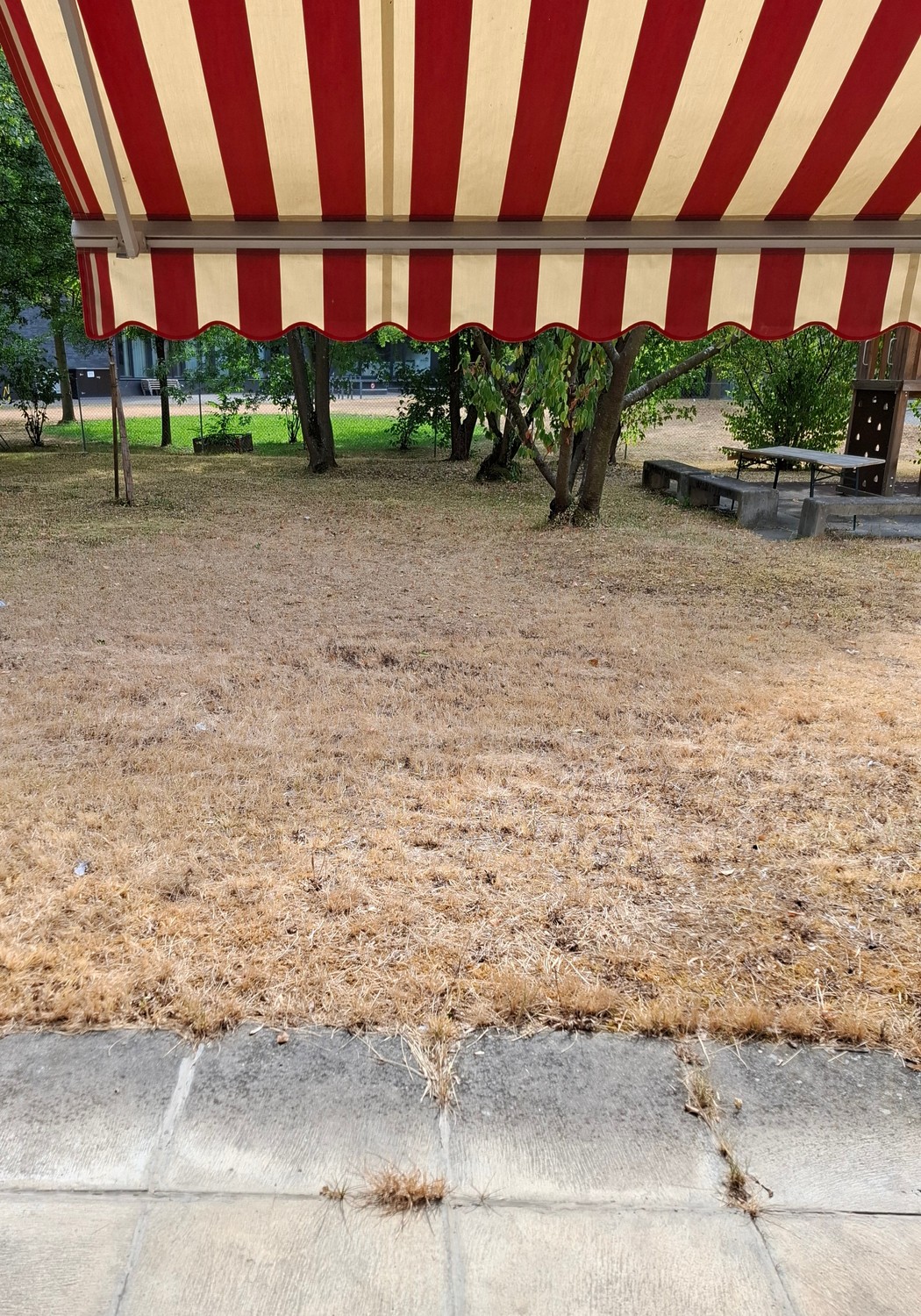 Appartamento di 2 ½ locali, foto 3 di 5
