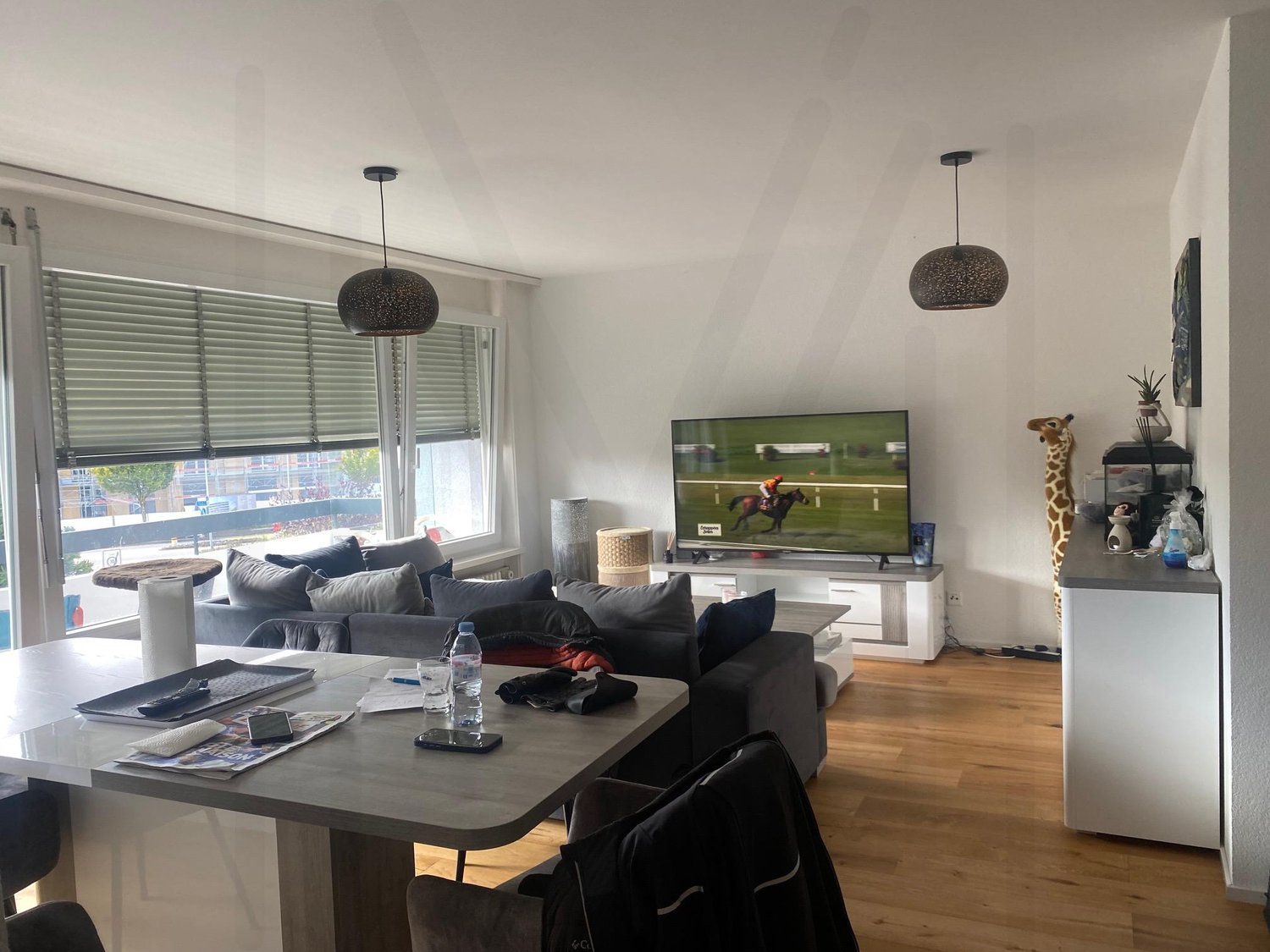 appartamento 45 stanze, foto 9 di 10